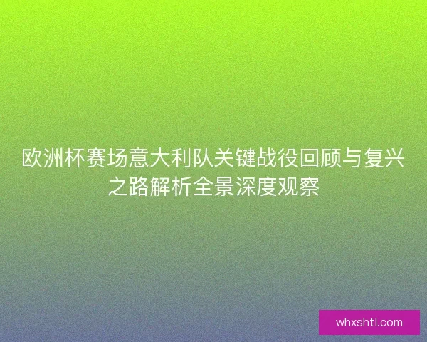 欧洲杯赛场意大利队关键战役回顾与复兴之路解析全景深度观察