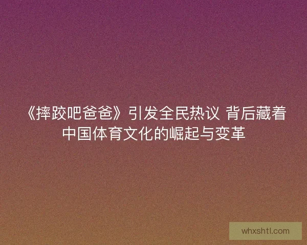 《摔跤吧爸爸》引发全民热议 背后藏着中国体育文化的崛起与变革