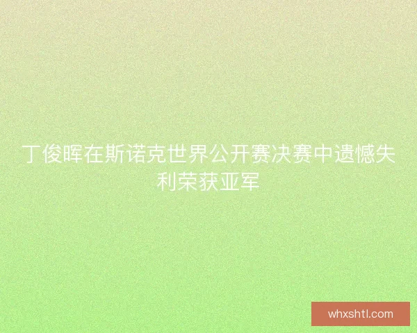 丁俊晖在斯诺克世界公开赛决赛中遗憾失利荣获亚军